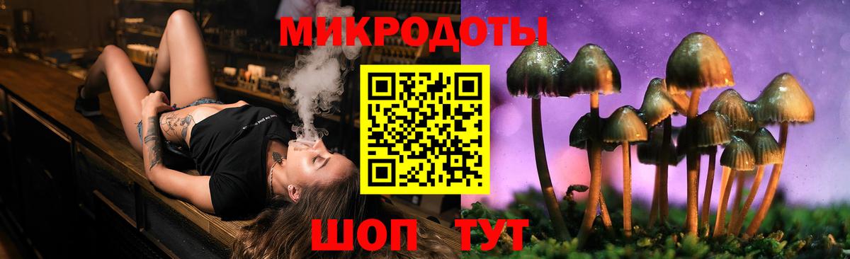Псилоцибиновые грибы Psilocybe Керчь