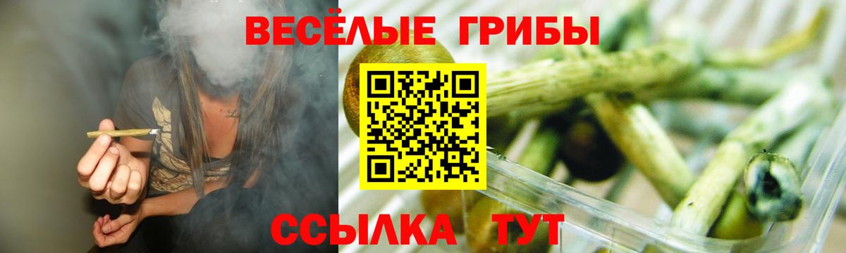 Керчь  Галлюциногенные грибы ЛСД  купить   Вход с VPN 